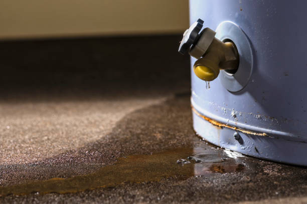Best Fire Damage Restoration  in Myrtle Grove, NC