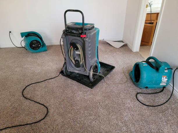 Best Water damage restoration near me  in Myrtle Grove, NC
