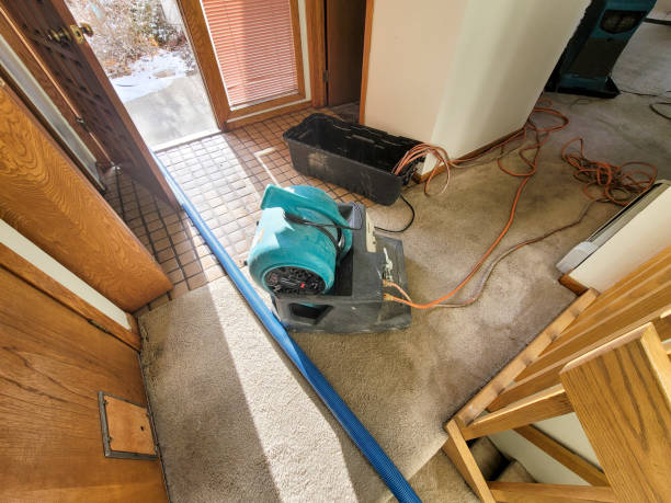 Best 24/7 water damage repair  in Myrtle Grove, NC