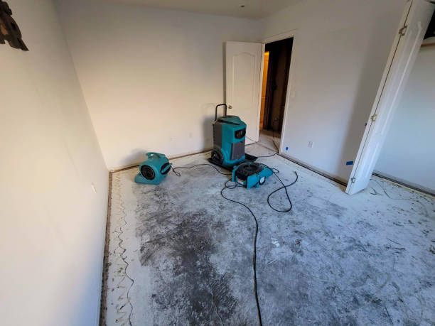 Best Sewage cleanup and water damage restoration  in Myrtle Grove, NC