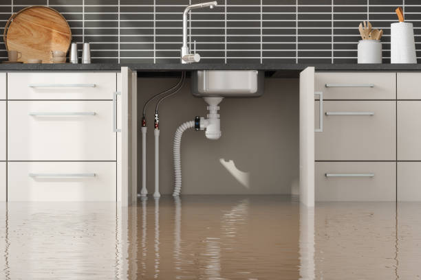 Best Flood restoration services  in Myrtle Grove, NC