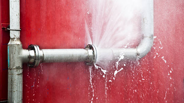 Best Water damage restoration experts  in Myrtle Grove, NC